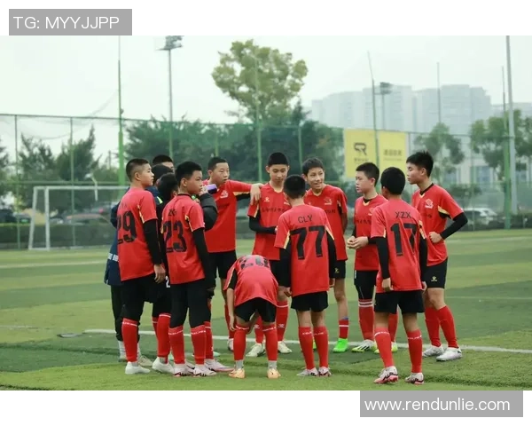 张磊独家解析足球技巧与战术分享助你提升球场表现